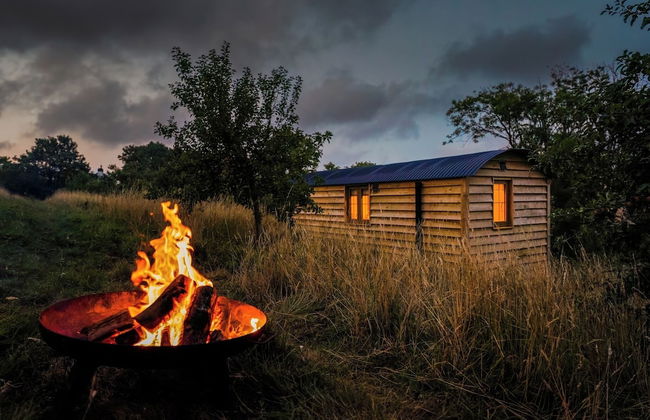 Woodpecker Hill - Apple Orchard in Alfriston - Foto 1