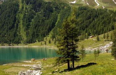 Appartamento Riscone Nuvola di Plan - Foto 36