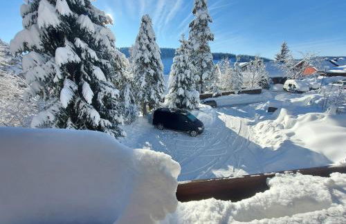 Haus Heidelberg - Foto 39