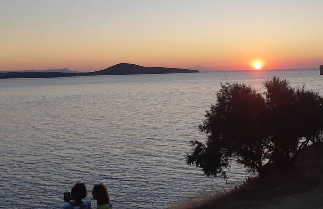 Old House Villa Moudros Kaminia Lemnos Holidays - Photo 23