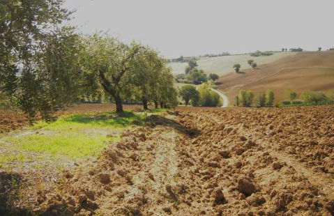 Agriturismo Ponterosa - Foto 35