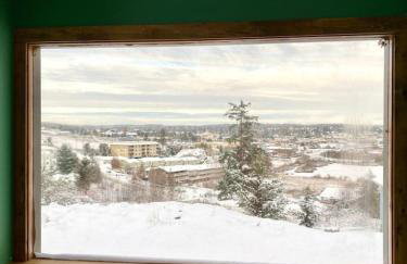 Cabin - Hot tub - Fire pit - View - Getaway! - Foto 50
