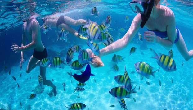 Columpio Isla de Cebú - Foto 4