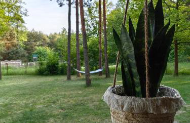 Kajaki wino i śpiew - domek z sauną w otoczeniu lasów i sąsiedztwie zalewu - Foto 14