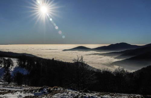 Le Giromagite au pied du Ballon d'Alsace - Foto 23