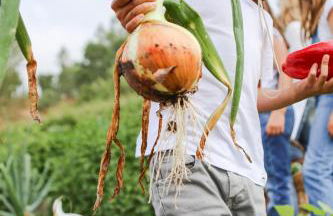 Monte Do Areeiro - Foto 29