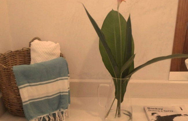 Casa Paula - Photo 49