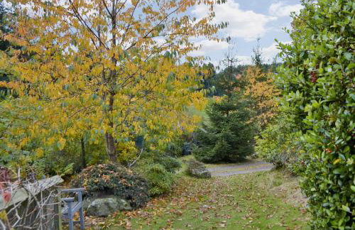 Osprey Cottage - Foto 13