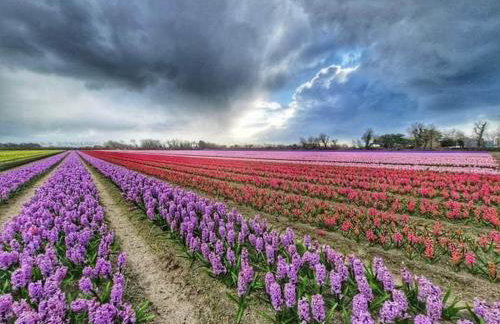 Maison An Ty Göal - Foto 34