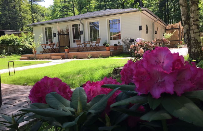 Little Suite Apartments - Foto 47