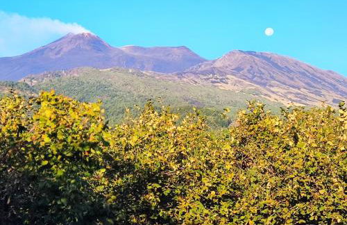 Feudo Magazzeni Etna - Foto 8