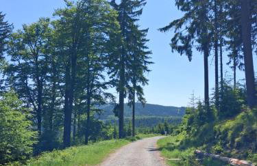 Sowie Pokoje - Foto 17