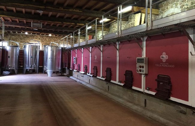 Tour enológico por el sur de Borgoña - Tour compartido de día completo desde Lyon - Foto 8