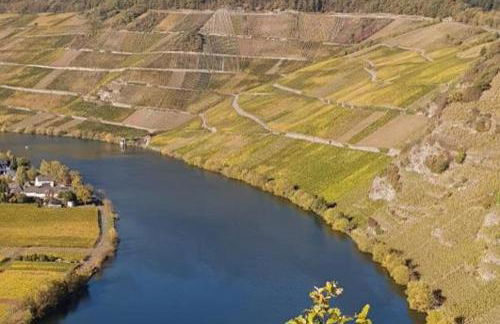 Weingut Johanneshof - Foto 18