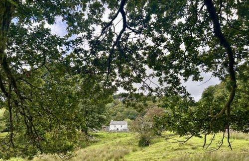 Scarr Head Cottage, detached stone cottage near Coniston, Lake District - Photo 30