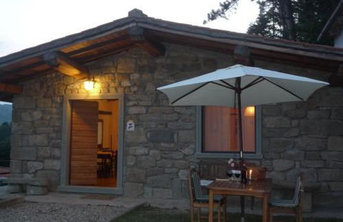 MAGNOLIA TUSCANY HOUSE WITH POOL Agriturismo Poppiena - Foto 8