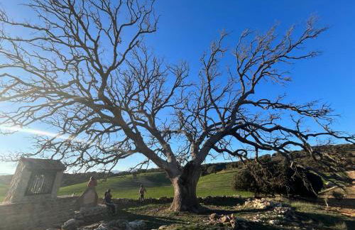 Alojamiento La Escalera - Photo 63