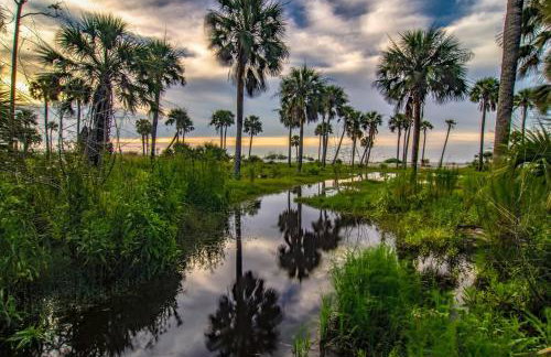 Gritz & Giggles, Where Southern Charm Meets Belly Laughs - Foto 26