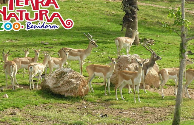 Terra Natura Benidorm - ¡¡Oferta Especial Invierno!! - Foto 9