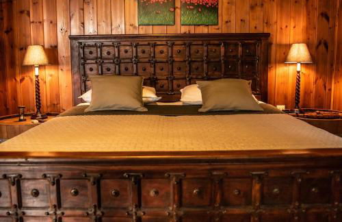 ΛΩΤΟΣ - Photo 37