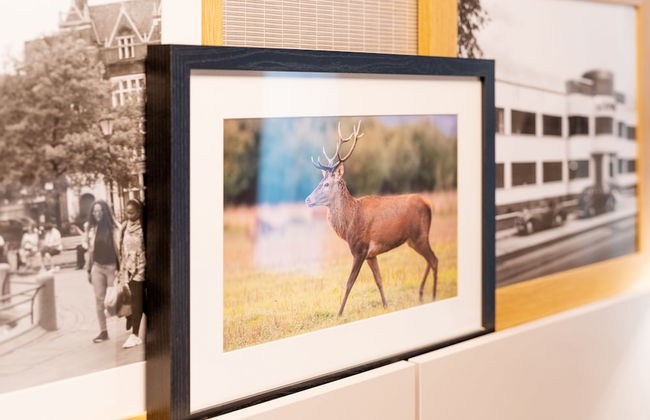 Aparthotel Adagio Leicester - Foto 38