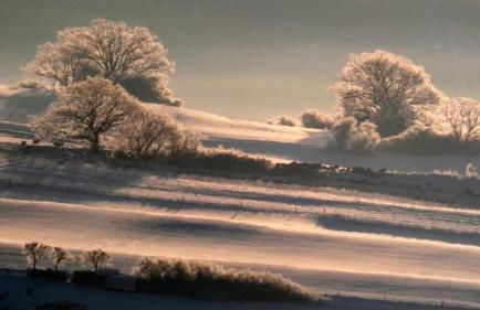 Appartement Am Skihang Altastenberg 1 km zum Skikarusell Winterberg - Photo 21