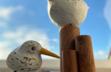 Capt'n Eike - Foto 8