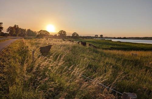 Ferienwohnung Rosengarten mit Meerblick - Photo 23