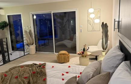 Maison privative avec piscine intérieure, spa, sauna, cinéma et billard - Foto 9