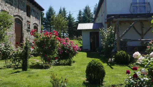 Róże i Jabłonie Agroturystyka - Foto 2