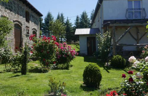 Róże i Jabłonie Agroturystyka - Foto 2