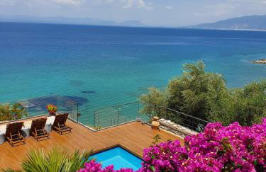 Cape Kitries - Photo 1