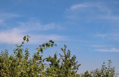 The Flat At Brwyn - Foto 39