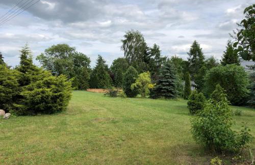 Domek całoroczny blisko lasu i morza na urokliwej działce 4300 m2 - Photo 7