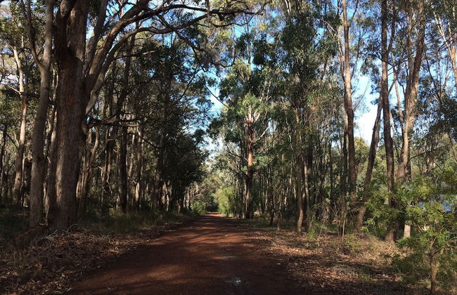 Ellensbrook Cottages - Foto 47