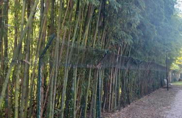 Il bosco sul Tevere Guest house - Foto 32