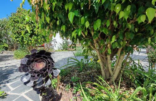 El Poleo 1 - Foto 26