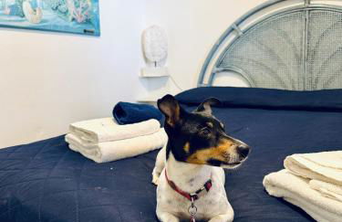 Villa Lina - Foto 43