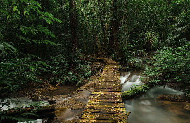 Rafting in the Lacanjá River - Foto 7