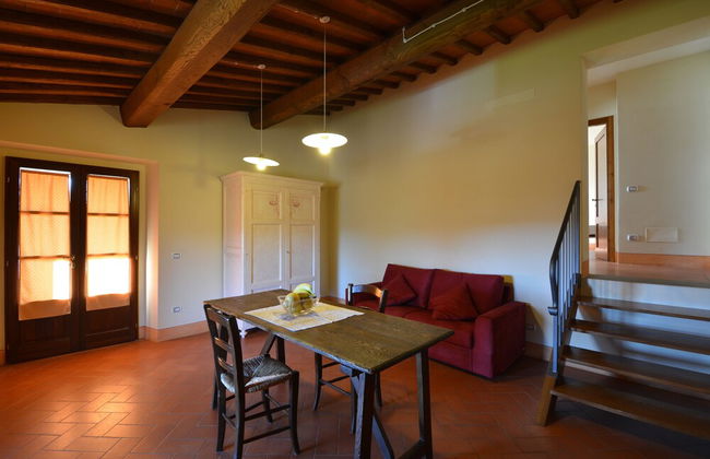 azienda agricola lo zolfino - Foto 43