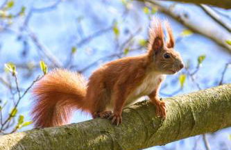 Modernes Gartenatelier am Mühlenfließ - Foto 38