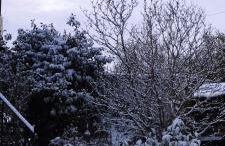 Monteur oder Ferienwohnung - Foto 15