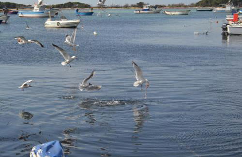 Na Chicca e na Nicchia - Foto 58