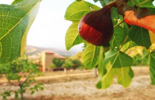 Casalesanpietro - Foto 50