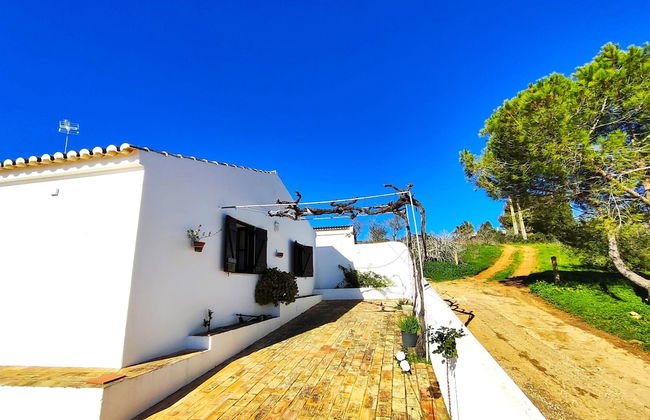 Lagos High Point Nature 2 by Homing - Foto 24