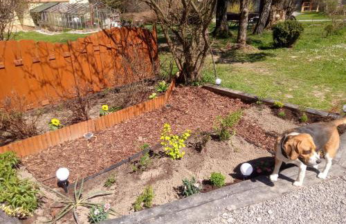 Domek Jancio Wodnik - Photo 11