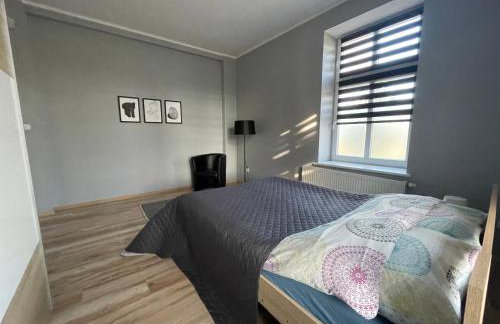 Apartamenty Trzciana - Foto 6