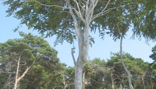 Holiday Home Der Schwelmer - Foto 5, Habitación