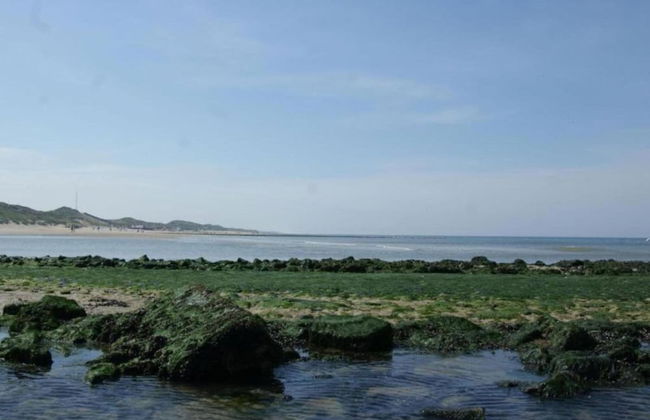 Peaceful Dune Retreat With Garden - Foto 32