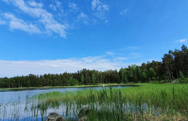 4 Star Holiday Home in Ingaro - Foto 19